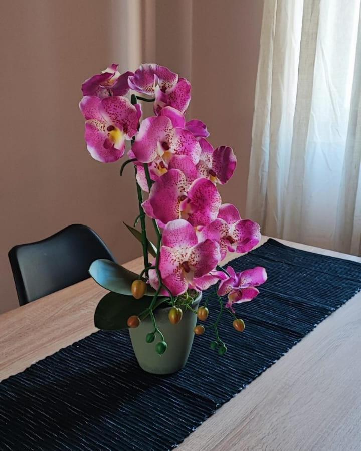 Il Sole Dentro Apartment